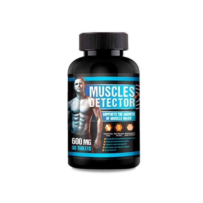 Muscles Detector ◦ muscle building pills ◦ in Zabrze