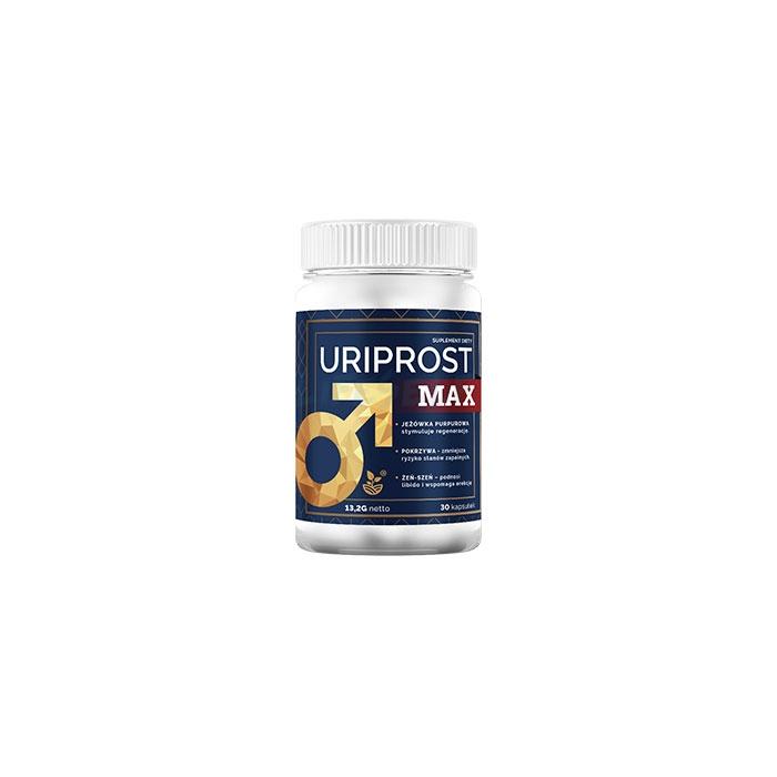 Uriprost Max ◦ պարկուճներ ուժի համար ◦ դեպի Գնյեզնո