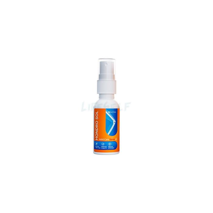 Hondro Sol ◦ joint health product ◦ in Boy Mare